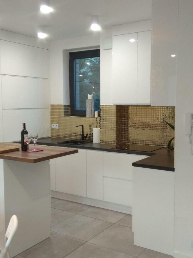 Luxury Apartment With Own Parking Chorzów Kültér fotó